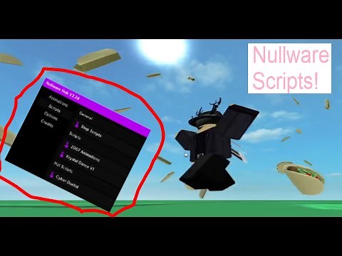 Nullware Hub V2 script (I finally made a video XD)