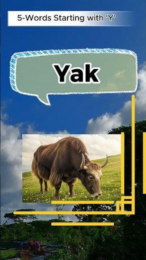 Letter Y | 5-Words Starting with Y | Vocabulary with Images