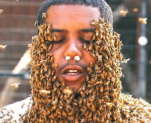 44K views · 159 reactions | This is what it feels like to have tens of thousands of furious bees on your face. | VICE | Facebook