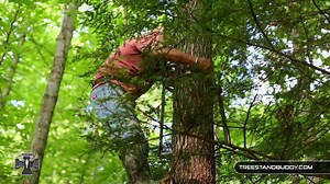 2.6K views · 24 reactions | Choosing a stand loction and hanging your stand How do you choose a tree stand location? We go through the things we look for in a stand location, choosing the tree and hanging our stands Tree Stand Buddy | Live the Wild Life TV | Facebook