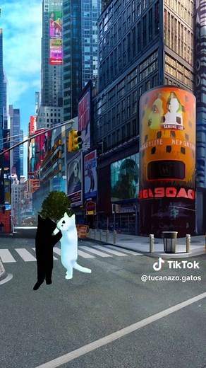 Cat Dancing on Roblox with Tucanazo: TikTok Compilation