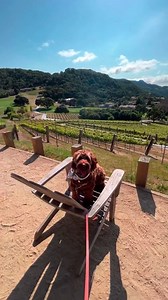 2.6K views · 17 reactions | Carmel Valley Ranch on Reels | Facebook