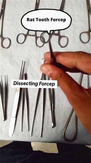 Dissecting Forceps: Essential Surgical Tools Explained