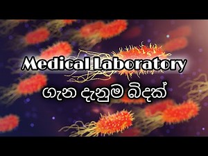 Introduction about Medical laboratory Science | Microbiology