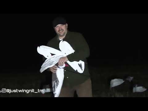 S2 E1. Spring Snow Goose Madness | 90+ Birds Down (Part 1)