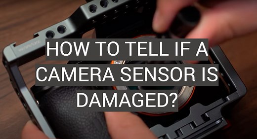 How to Tell if a Camera Sensor is Damaged? - FotoProfy