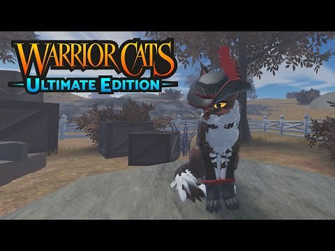 Pirate Hat and Boots! [WARRIOR CATS: ULTIMATE EDITION]