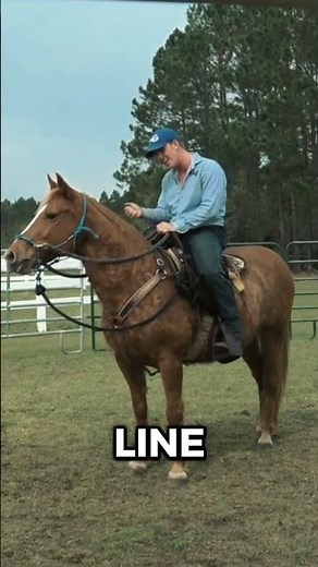 A Simple Trick for Better Gaits