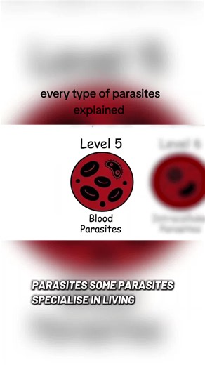 #fyp #body #biology #parasite #blood | Biology
