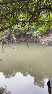 11K views · 14 reactions | Câu cá như này mới thích nè #xuhuong2024 #clipvui #giaitri #reels2024 #videovui | Video Vui | Facebook