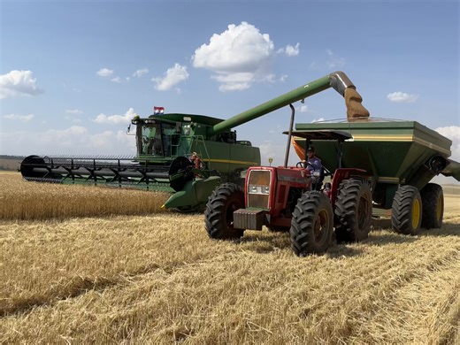 Videos de Fabricio Daniel Model (@fabricio_model) con “som original - 𝑷𝒆𝒅𝒓𝒂𝒅𝒂𝒔🎵”