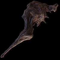 Bloodfiend's Arm | Elden Ring Wiki