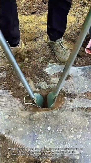Seedling Planting Hack