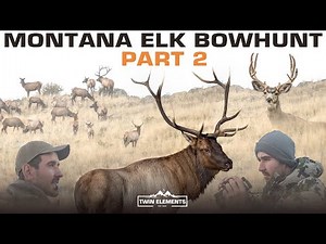MONTANA ELK BOWHUNT! - Part 2 - We Find A Huge 50+ Herd Of Elk & Call In A Big Bull! - Twin Elements
