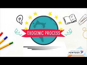EXOGENIC PROCESS