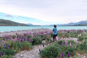 14 Most Beautiful Places In New Zealand South Island