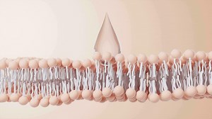 Cell membrane structure background, 3d rendering.