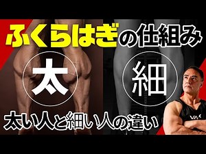 【脚トレ】ふくらはぎの筋肉をかっこよくする筋トレはこれです。