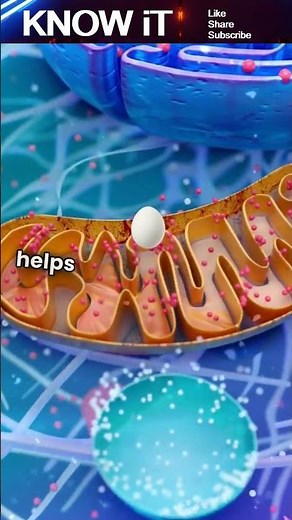 10 Interesting Facts About Cell Biology | KNOW iT