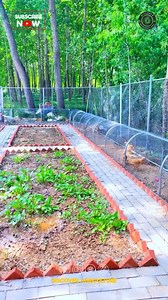 178 reactions · 11 shares | Integrated farming systems (IFS)...