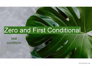 Zero and First Conditional