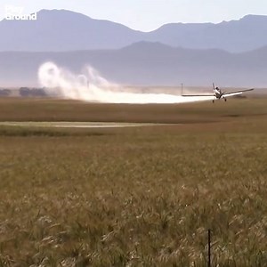 272K views · 645 reactions | We’re dependent on the power of a seed. | PlayGround + | Facebook