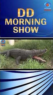 Travelogue Special: Adventure at Noida’s Waste to Wonder Jungle Trail