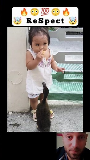 Funny Cute Baby Moments 😍 #babies #baby