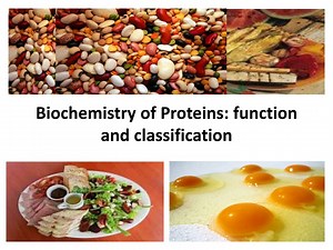 Protein Biochemistry: Structure, Function, and Classification - SlideServe