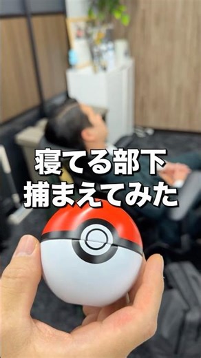 仕事中に新オフィスで寝てる部下にモンスターボール投げてみた。
