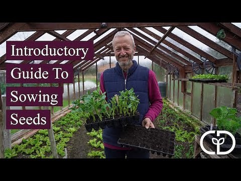 Introductory guide to sowing seeds