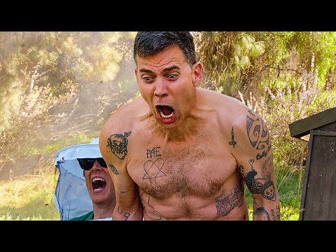 JACKASS FOREVER Trailer (2022) Jackass 4