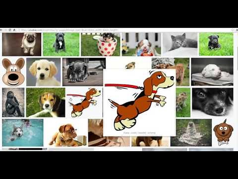 How to find and download public domain images on Pixabay