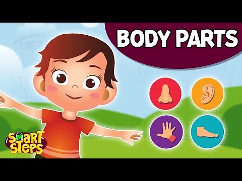 Discovering the Human Body: Fun and Engaging Ways for Kids to Learn About Body Parts