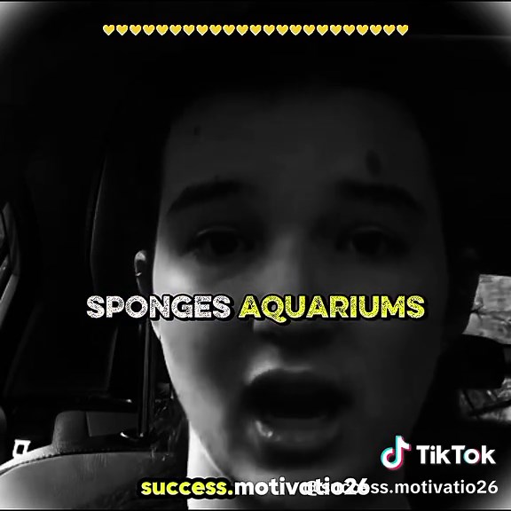 Inspirational Life Lessons from Women Innovators