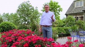 2.6K views · 132 reactions | Looking for ideas on where to plant and use Knock Out® Roses in any landscape setting? Watch this video! | The Knock Out® Family of Roses | Facebook