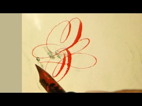 Letter Z in Copperplate Script | Elegant Calligraphy Tutorial by Kaatib M Abubakkar