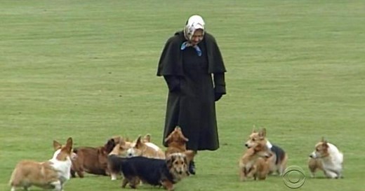 Inside the royal life of the Queen's corgis