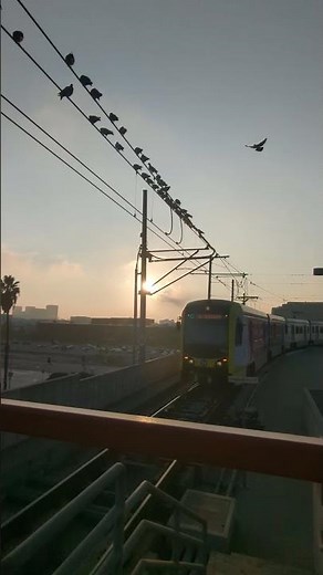 LA Metro Green Line arriving into Aviation/Century towards Norwalk