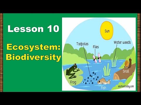 Lesson 10: Ecosystem: Biodiversity
