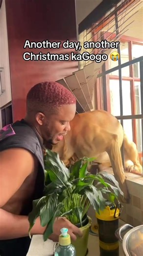 This is supposed to be our protector 😭 (The “Haibo”s are dusting me 😭😭 #fyp #fypシ #foryou #funny #tiktoksouthafrica