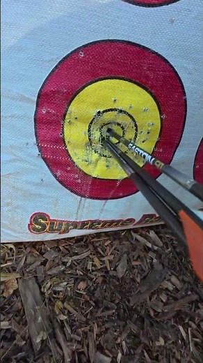 LEARNING TO SHOOT A COMPOUND BOW DAY 14 #archery #compoundbow #challengecompleted