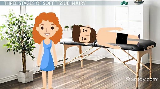 Soft Tissue Injury Repair: Stages & Massage Therapy Support