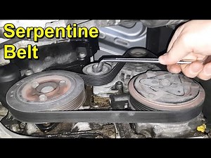 Serpentine Belt Renewal