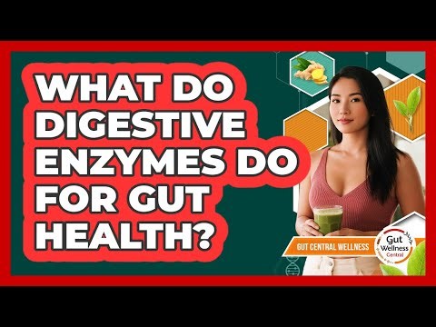 What Do Digestive Enzymes Do For Gut Health? - Gut Wellness Central