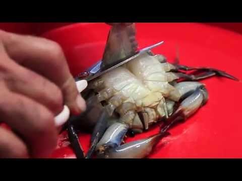 How To Clean A Soft Shell Crab