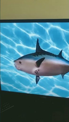 SpongeBob intro¡ bloopers! 6!