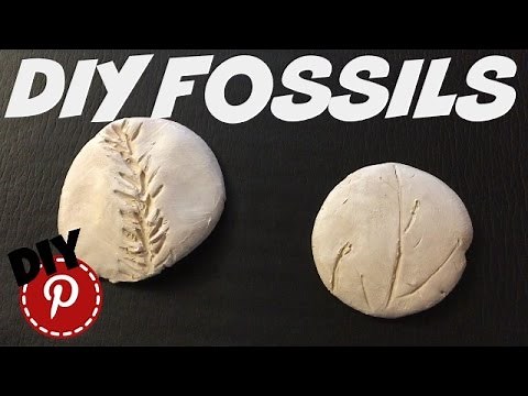 DIY Fossils