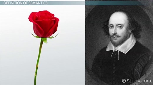 Semantics | Definition, Types & Examples