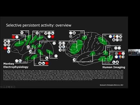 Dr. Thomas Christophel - Veridical, categorical and semantic representations in working memory